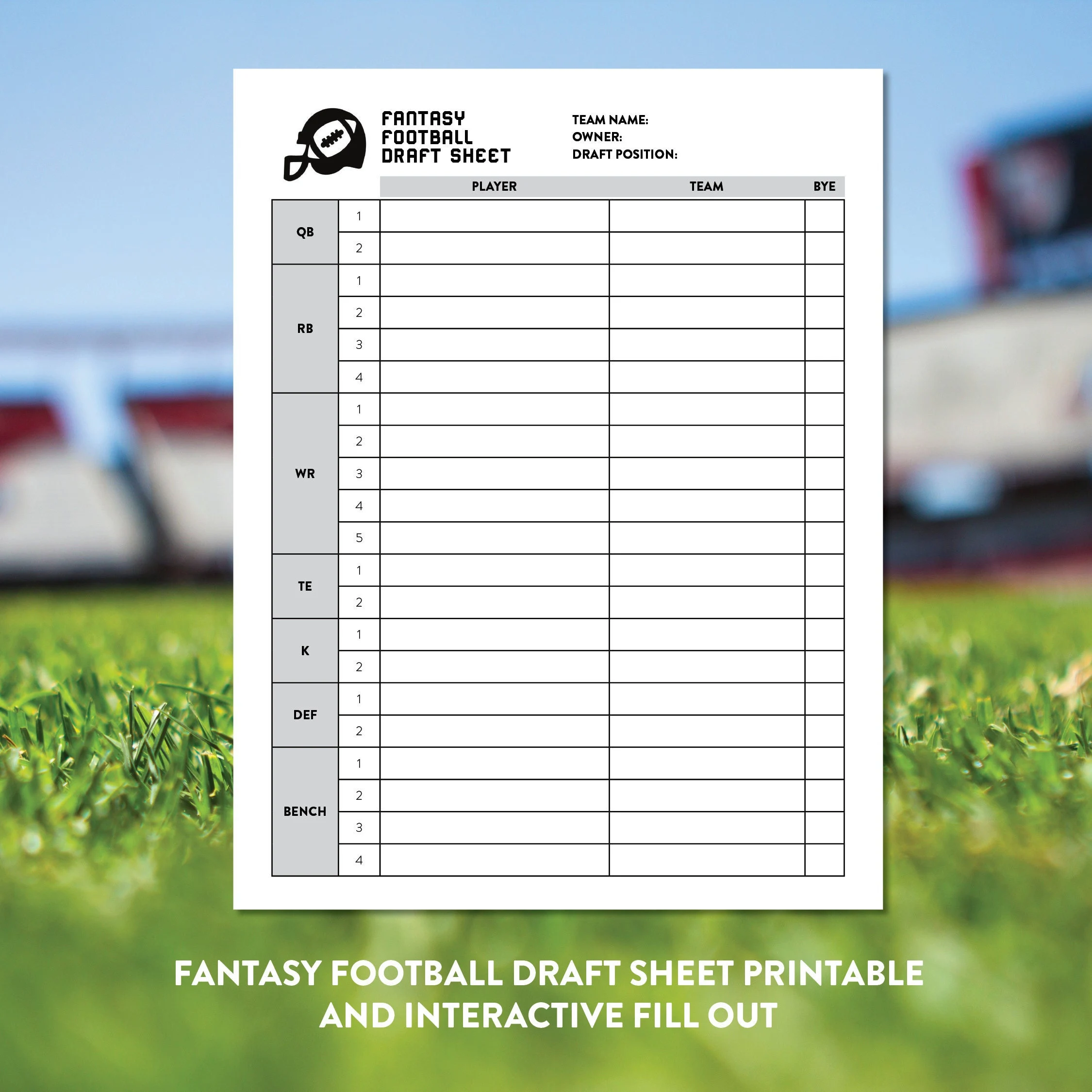 Fantasy Football Interactive Draft Sheet