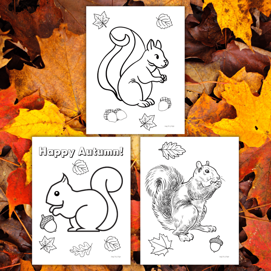 Free Printable Squirrel Coloring Pages For Kids