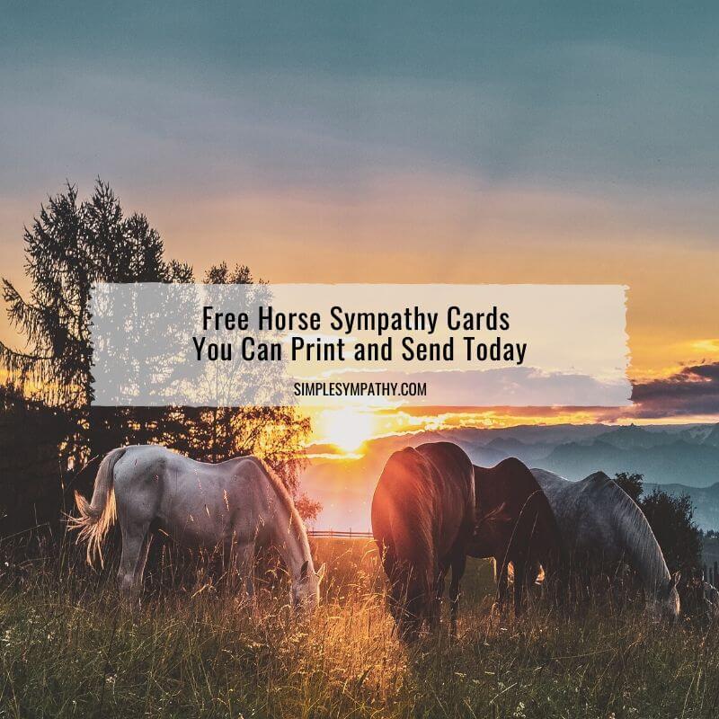 Horse Sympathy Cards Horse Sympathy Cards