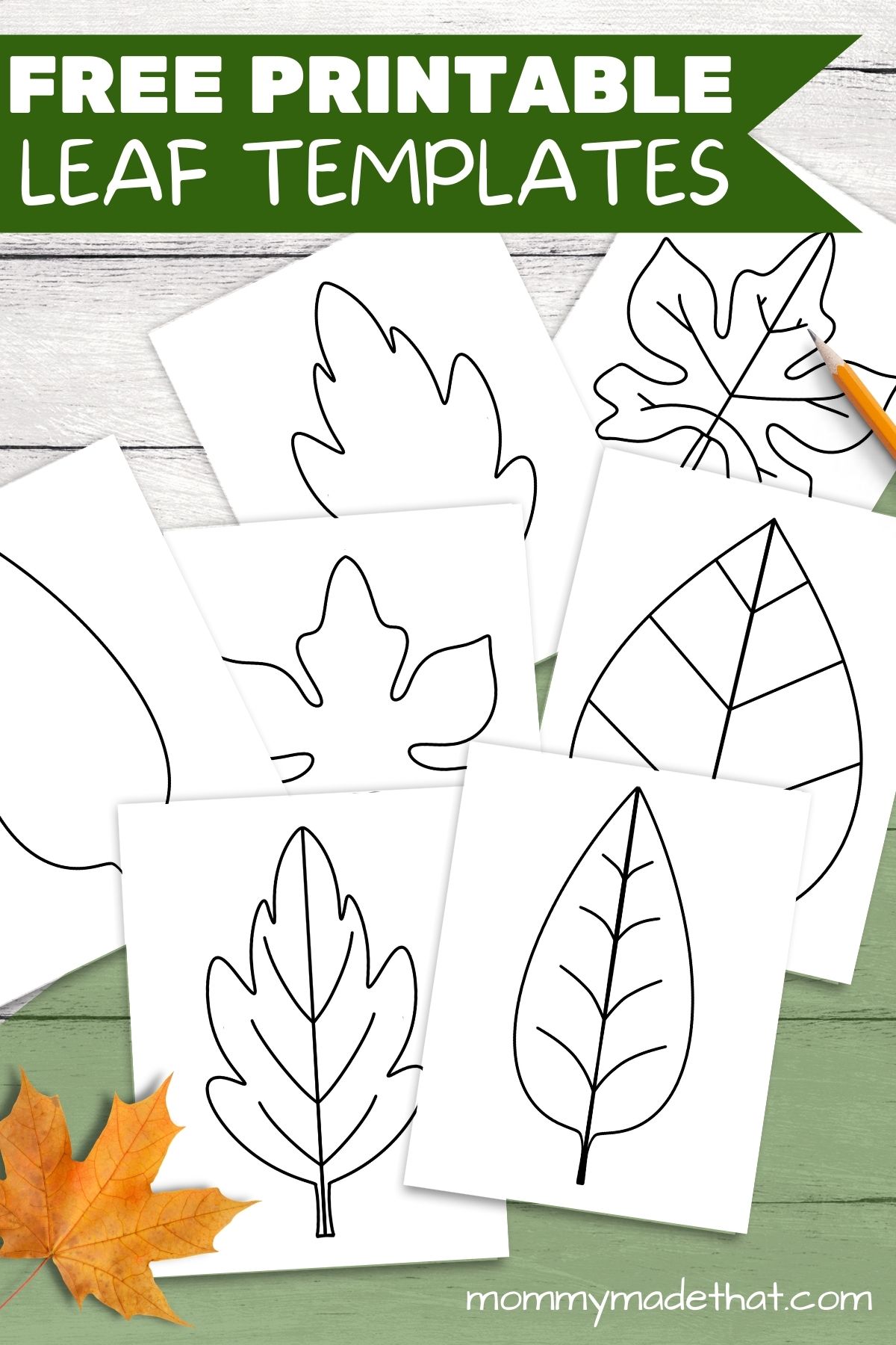 Leaf Template