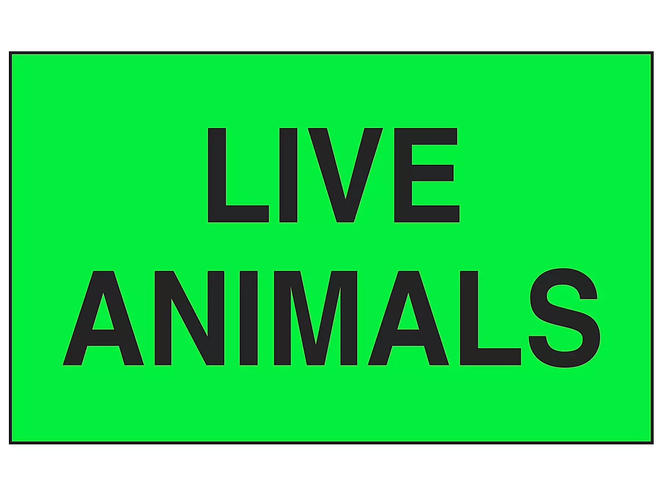 Live Animals Labels 3 X 5