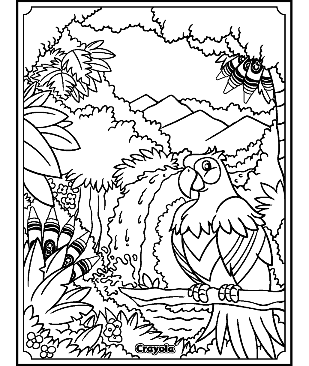 Rainforest Day Coloring Page