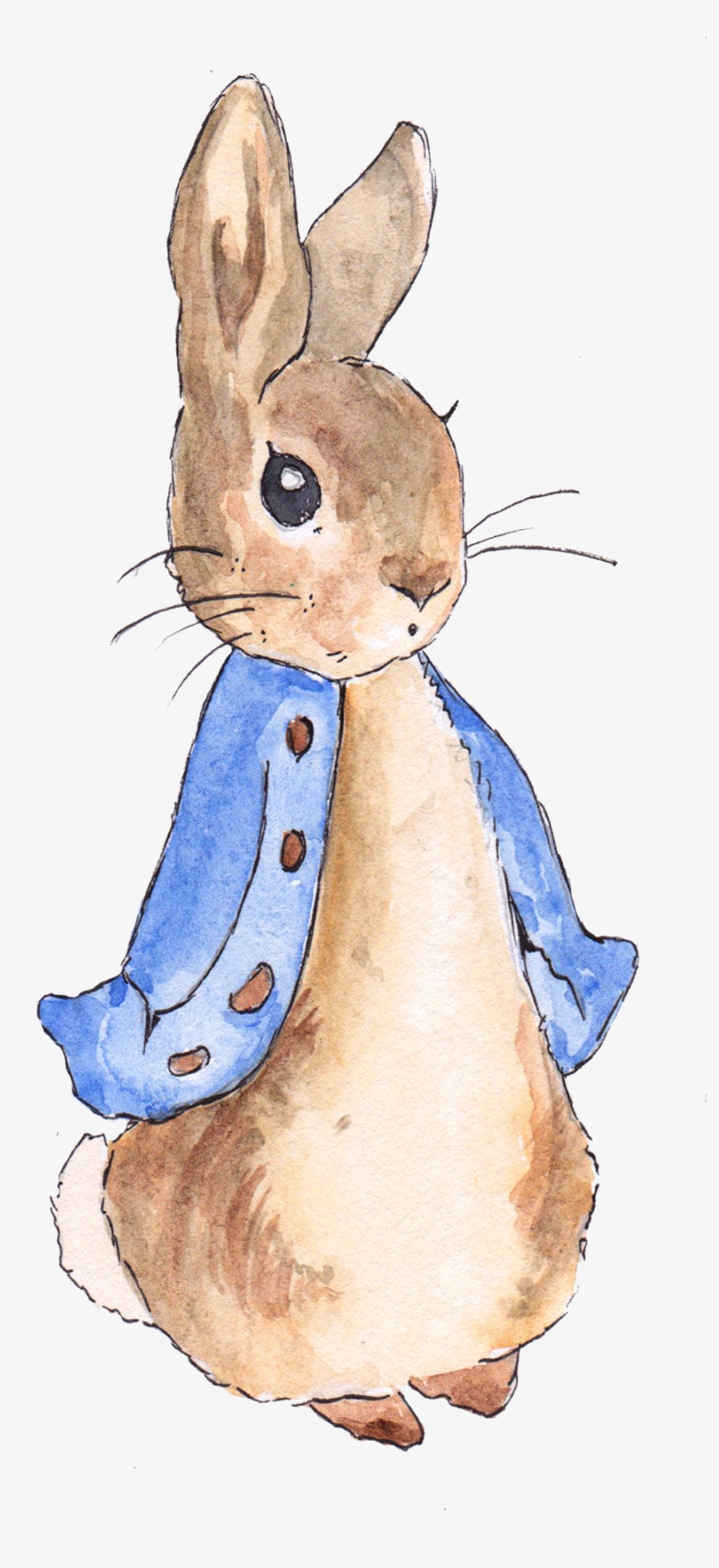 U2q8a9w7a9e6u2t4 Peter Rabbit Png Free Library Peter Rabbit Clipart U2q8a9w7a9e6u2t4 Peter Rabbit Png Free Library Peter Rabbit Clipart