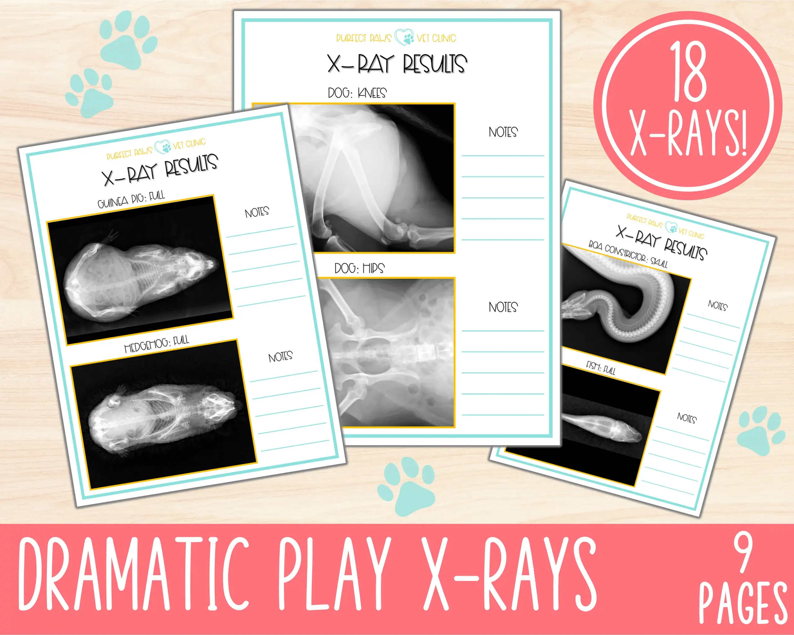 Vet Clinic Dramatic Play Pretend Play